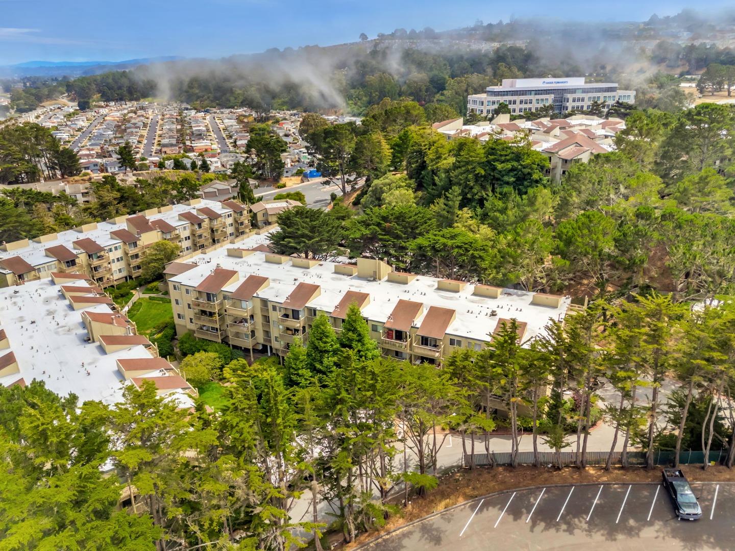 377 Mandarin Drive