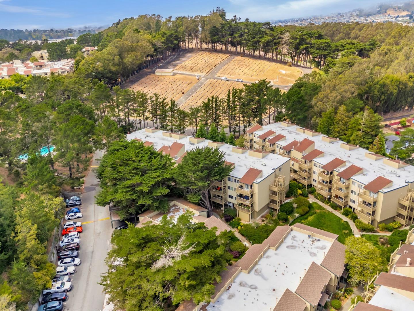 377 Mandarin Drive
