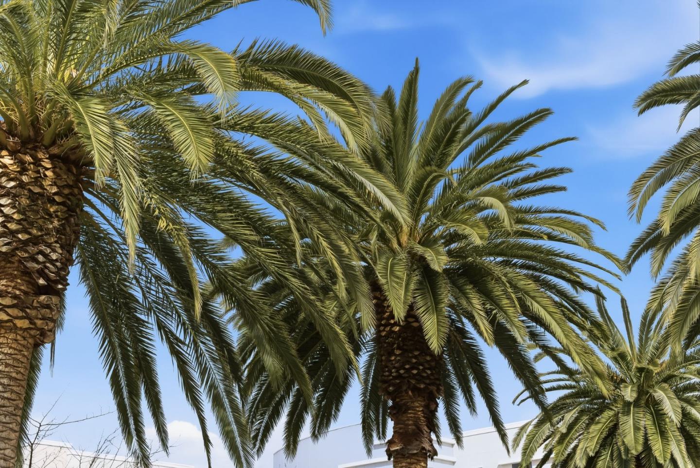 508 Holthouse Terrace