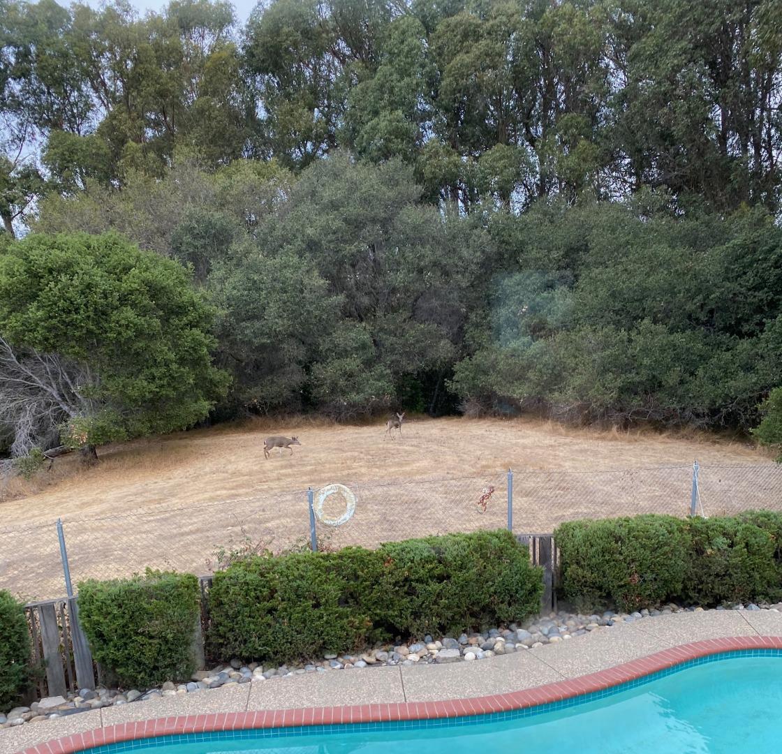 3268 Ursa WAY