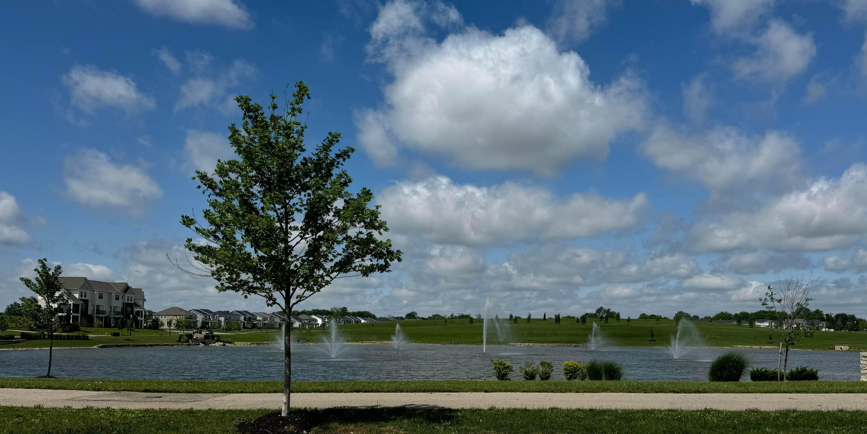 3815 Park Street, Lot 176