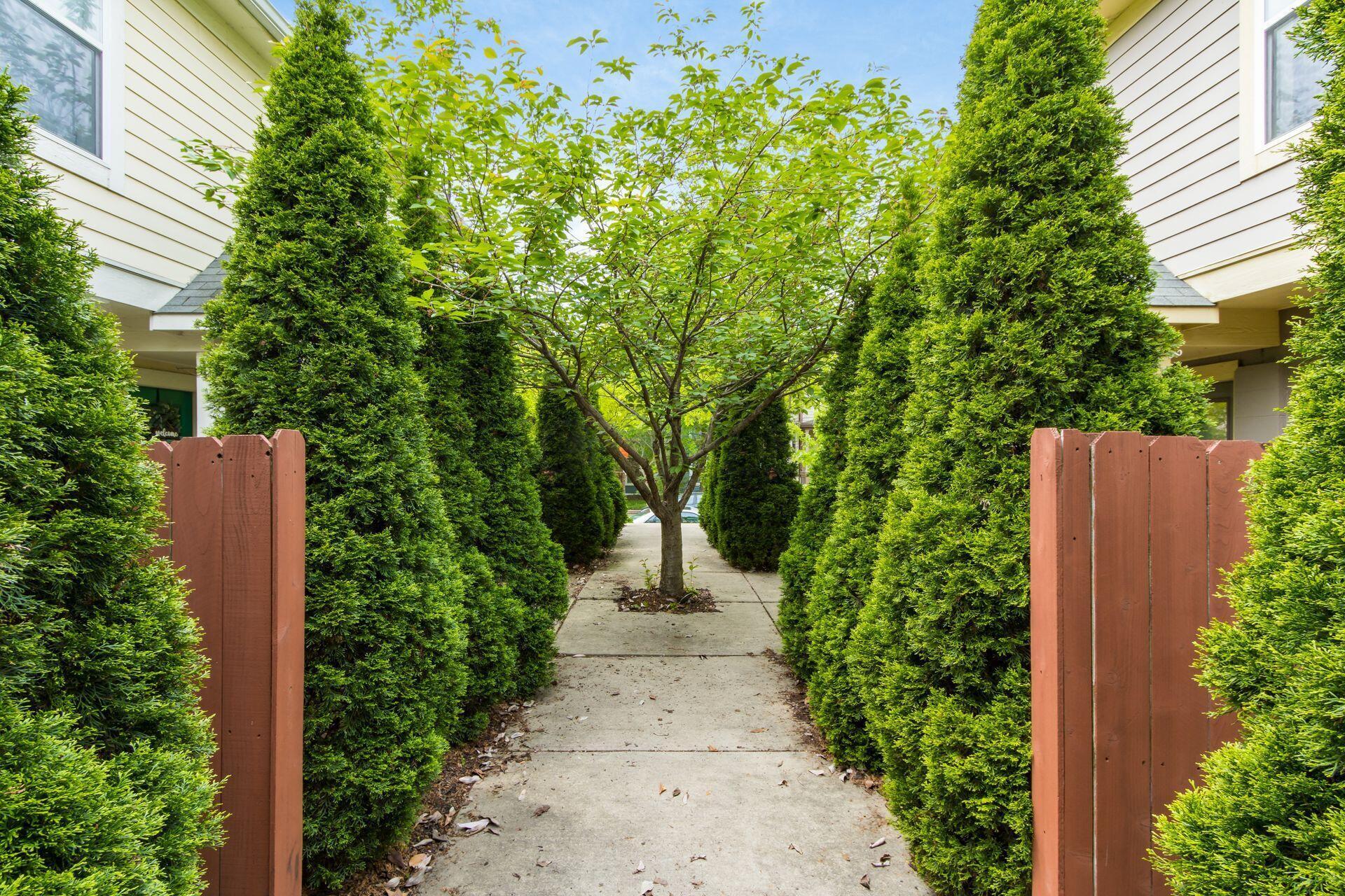 1112 Perry Street, B