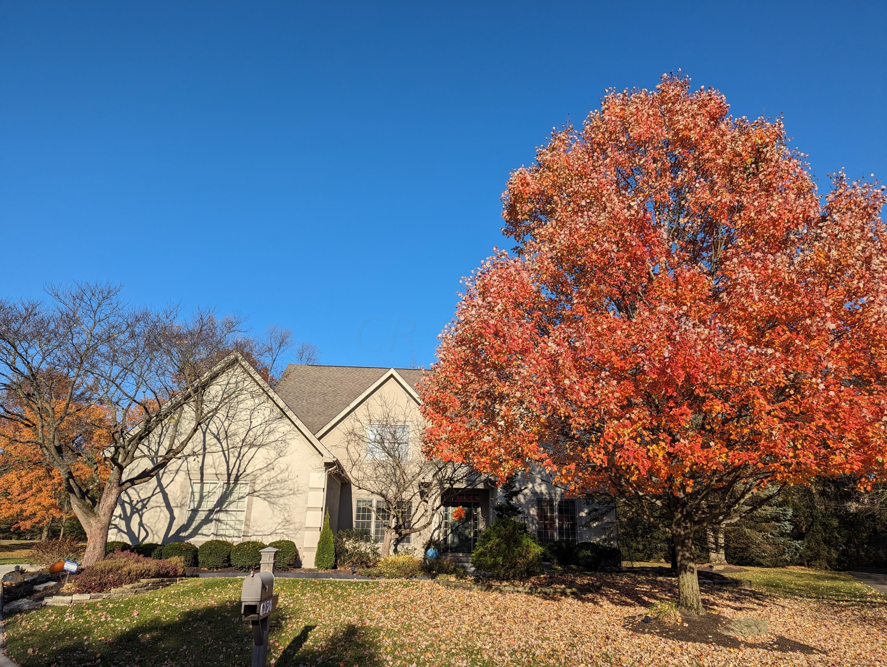 6230 Muirloch Court S