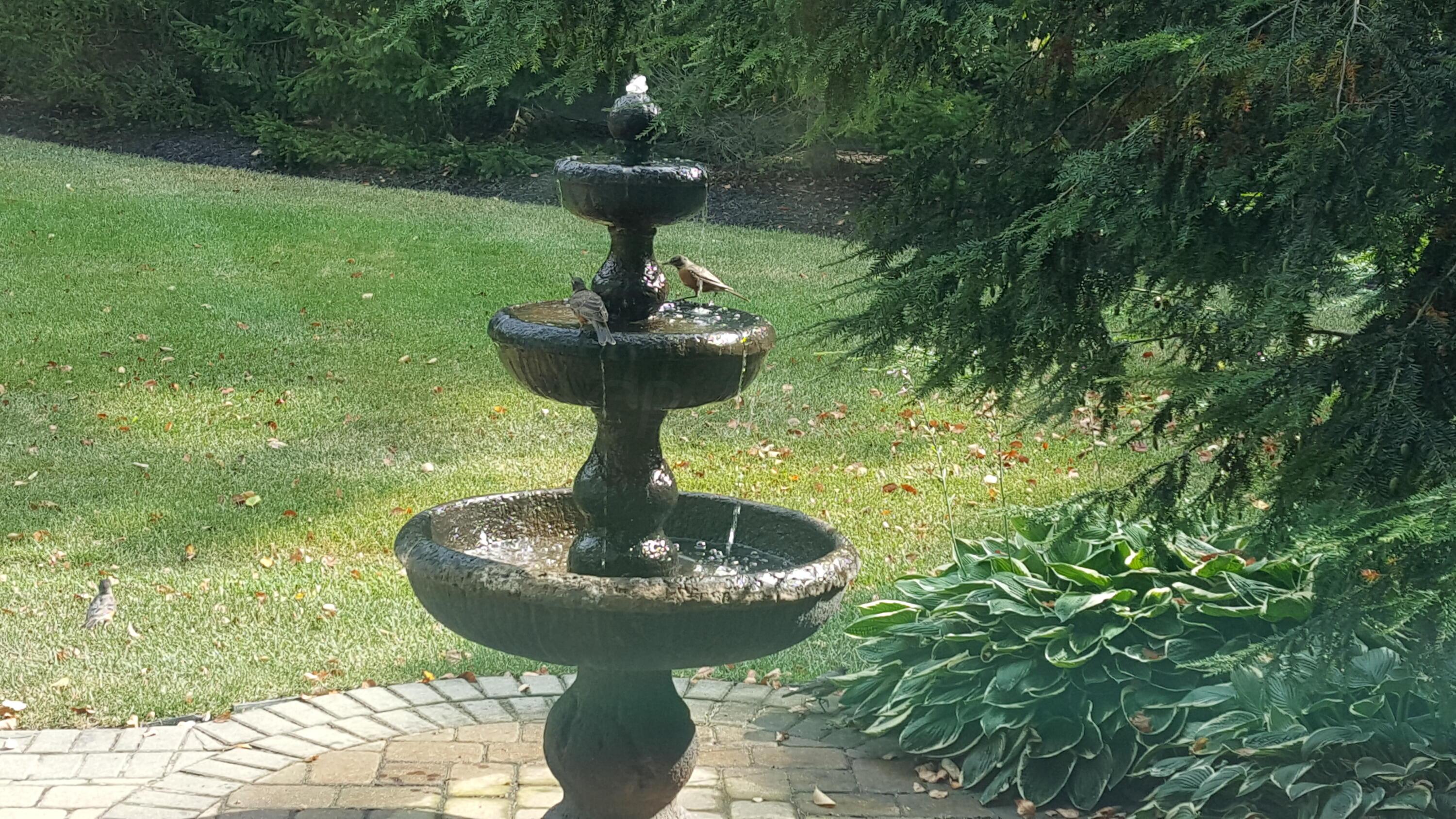 6230 Muirloch Court S