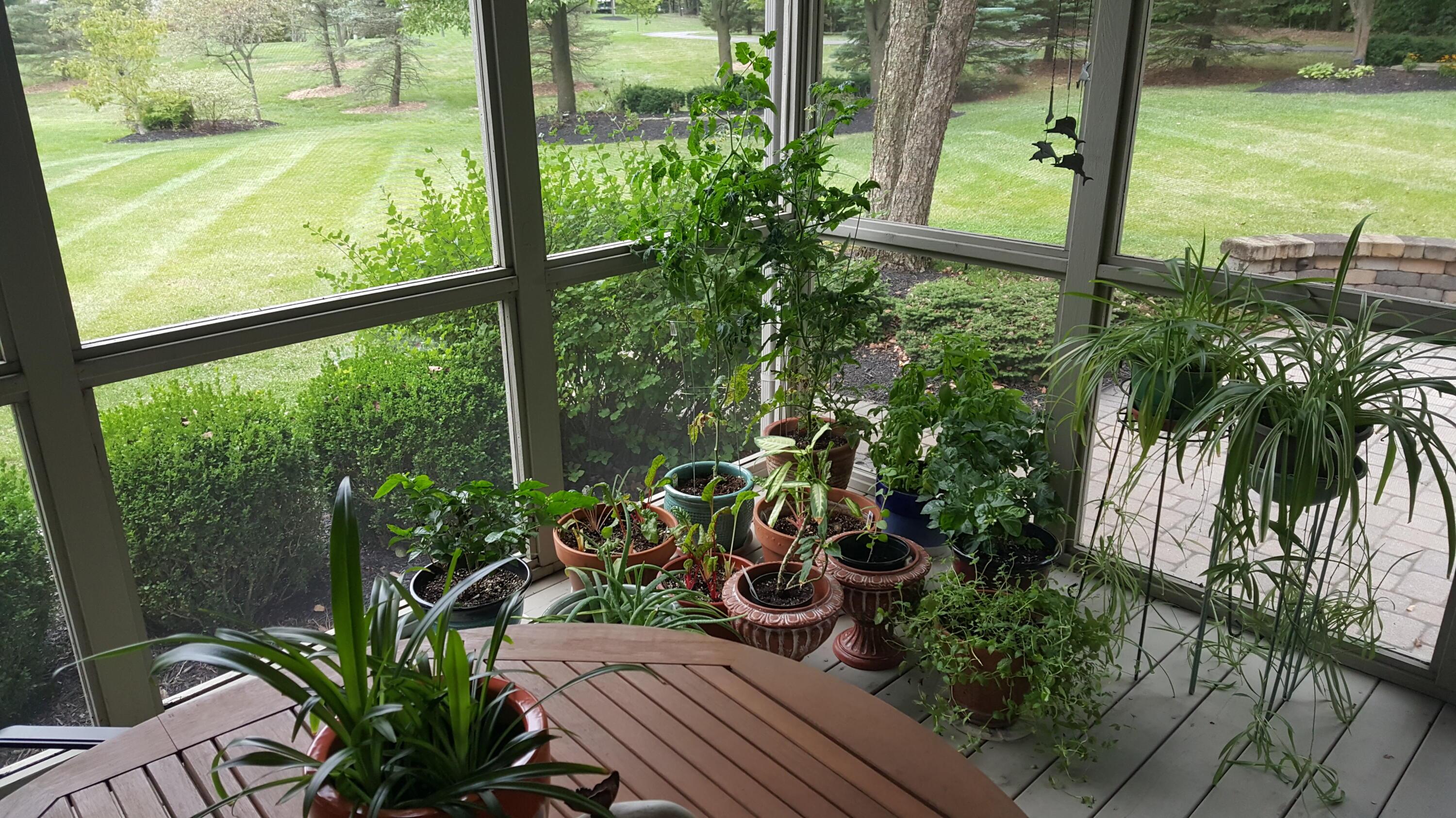 6230 Muirloch Court S