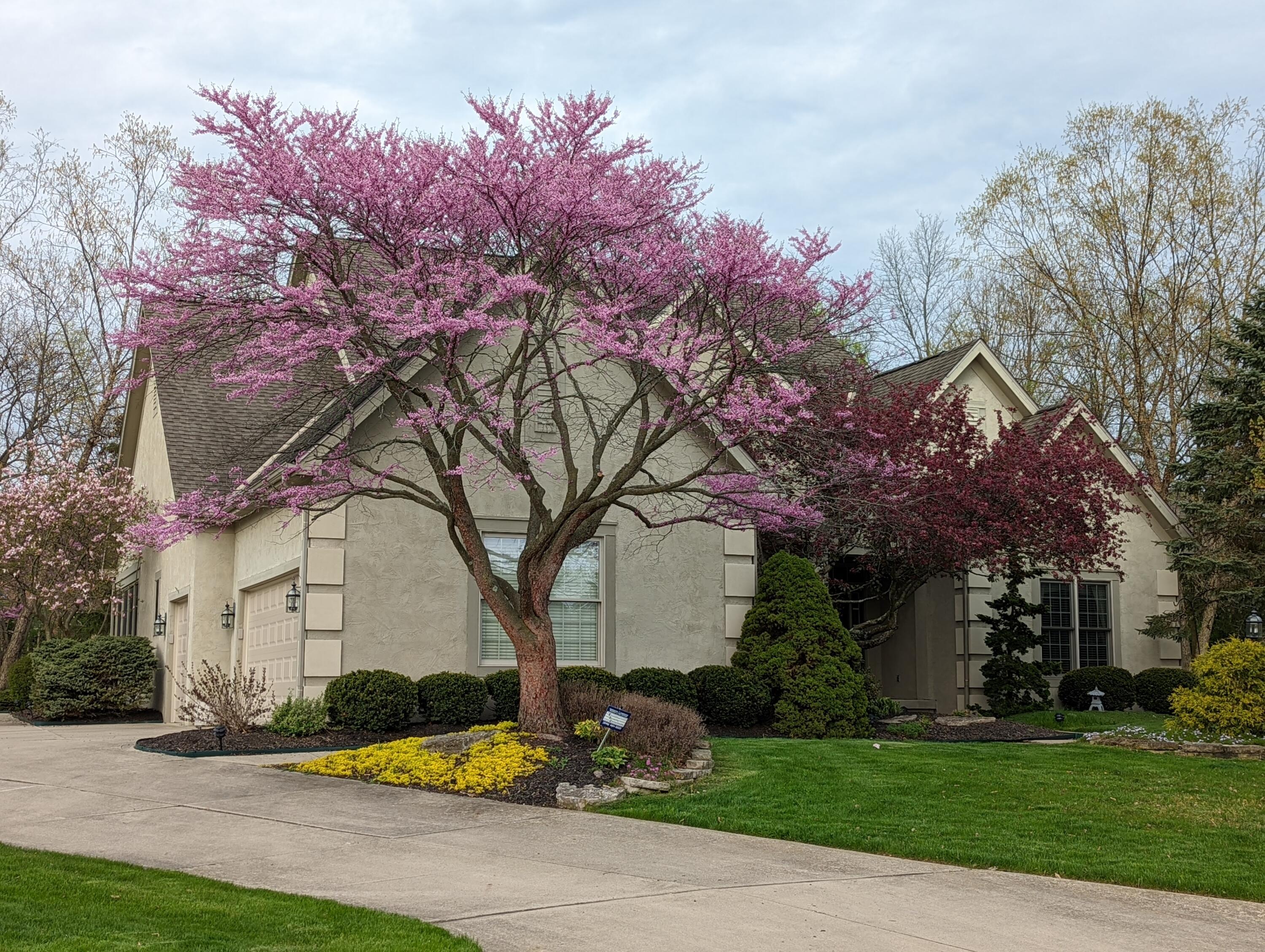 6230 Muirloch Court S