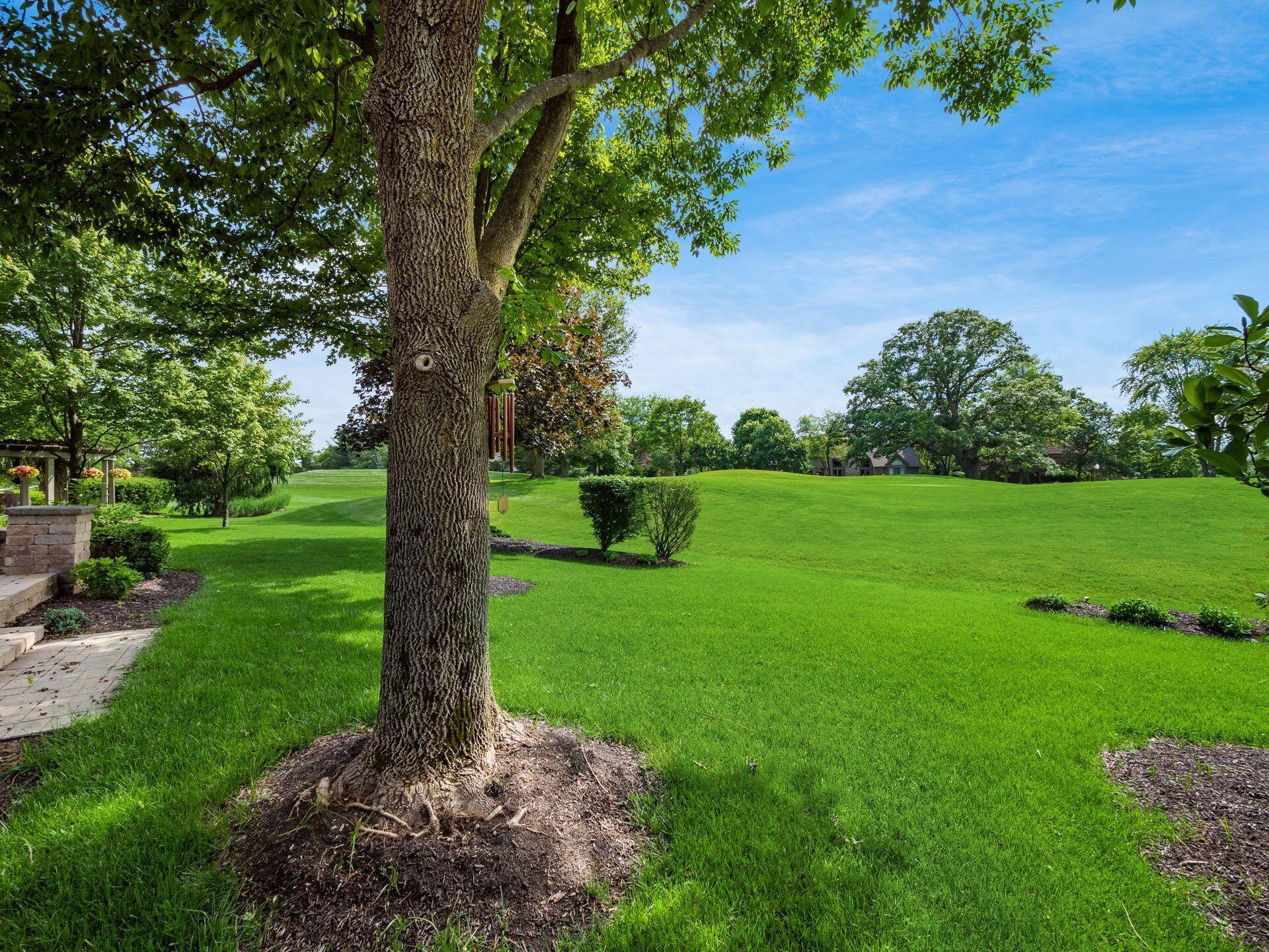 8453 Greenside Drive