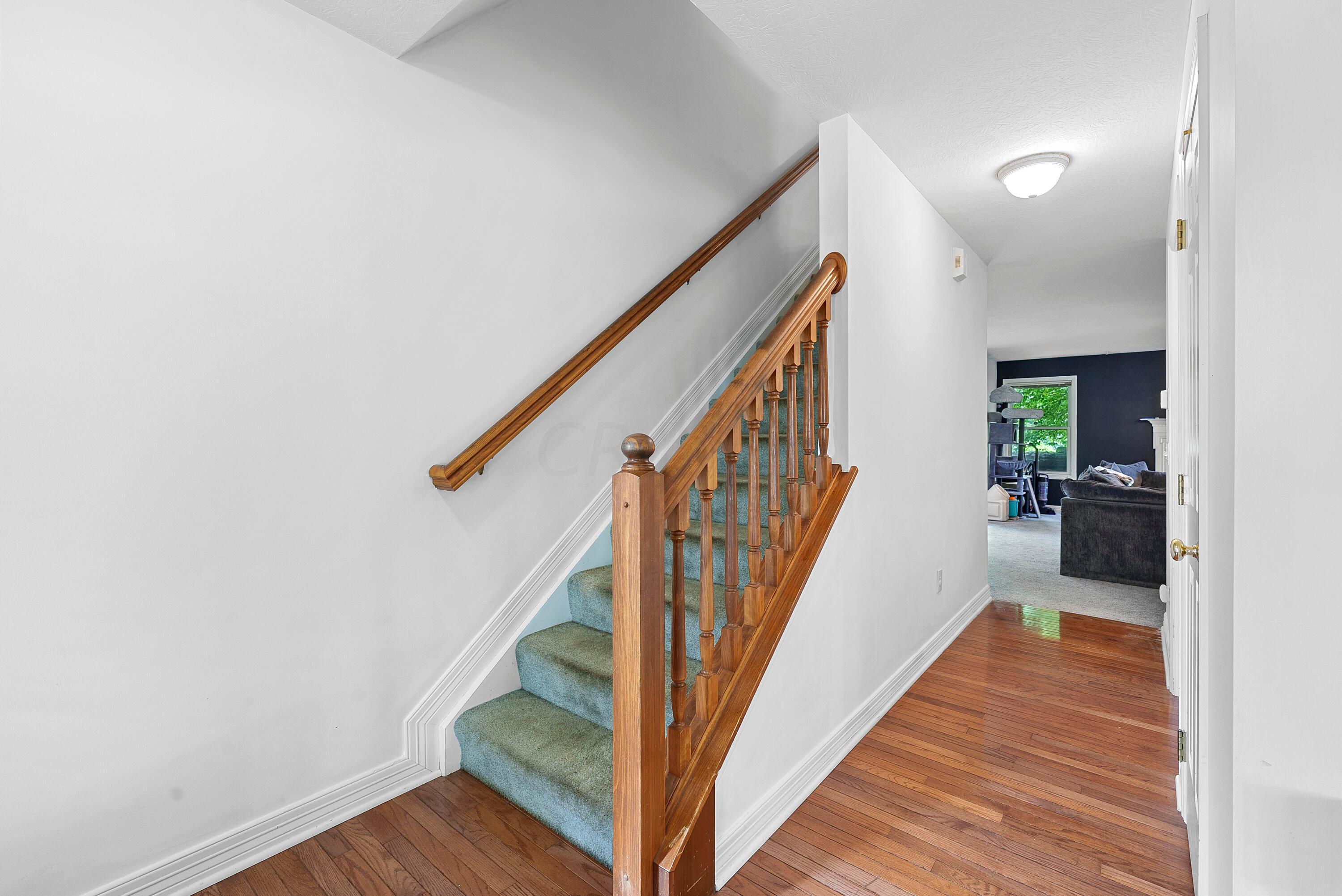 3836 Willowswitch Lane