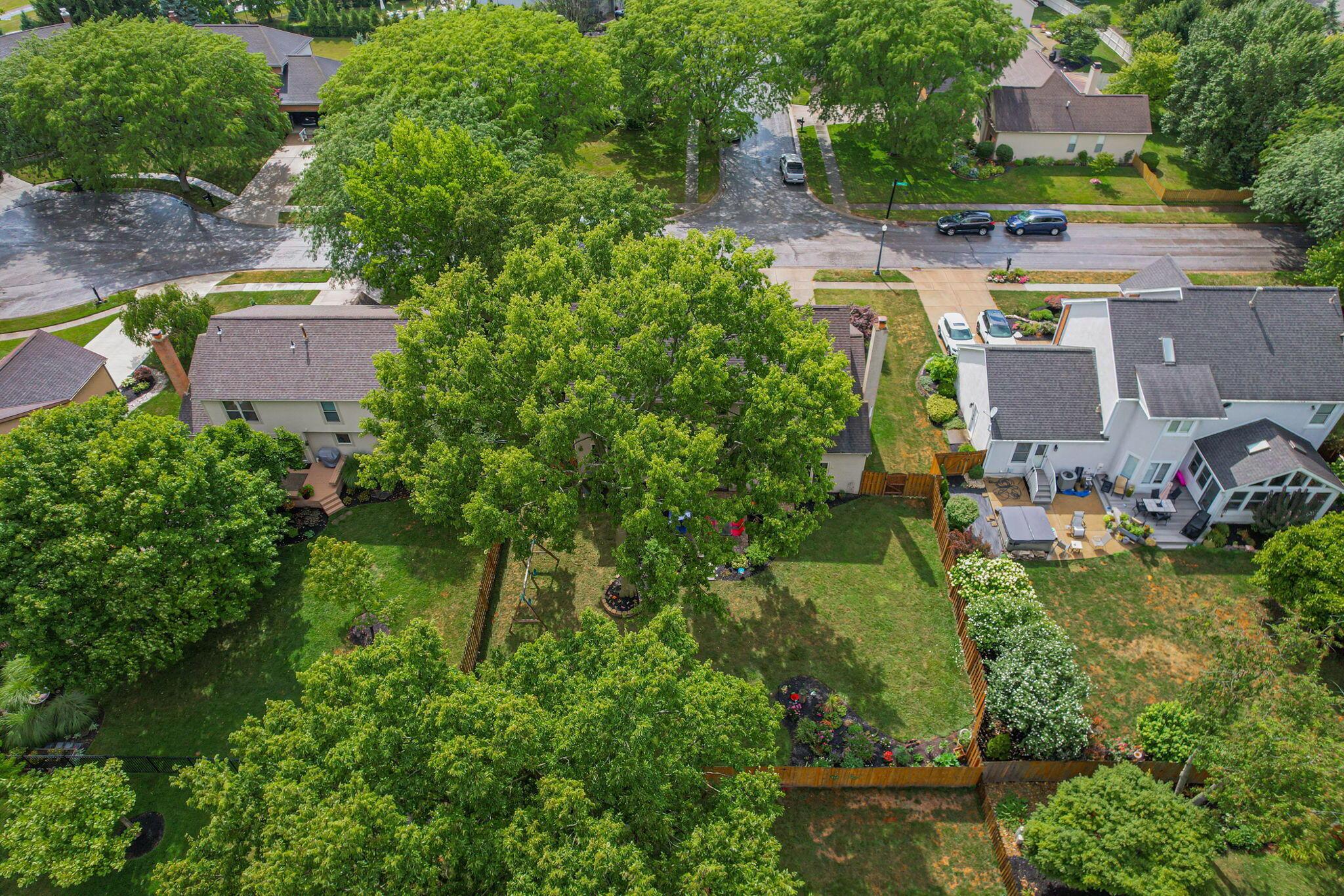 832 Thorncrest Court