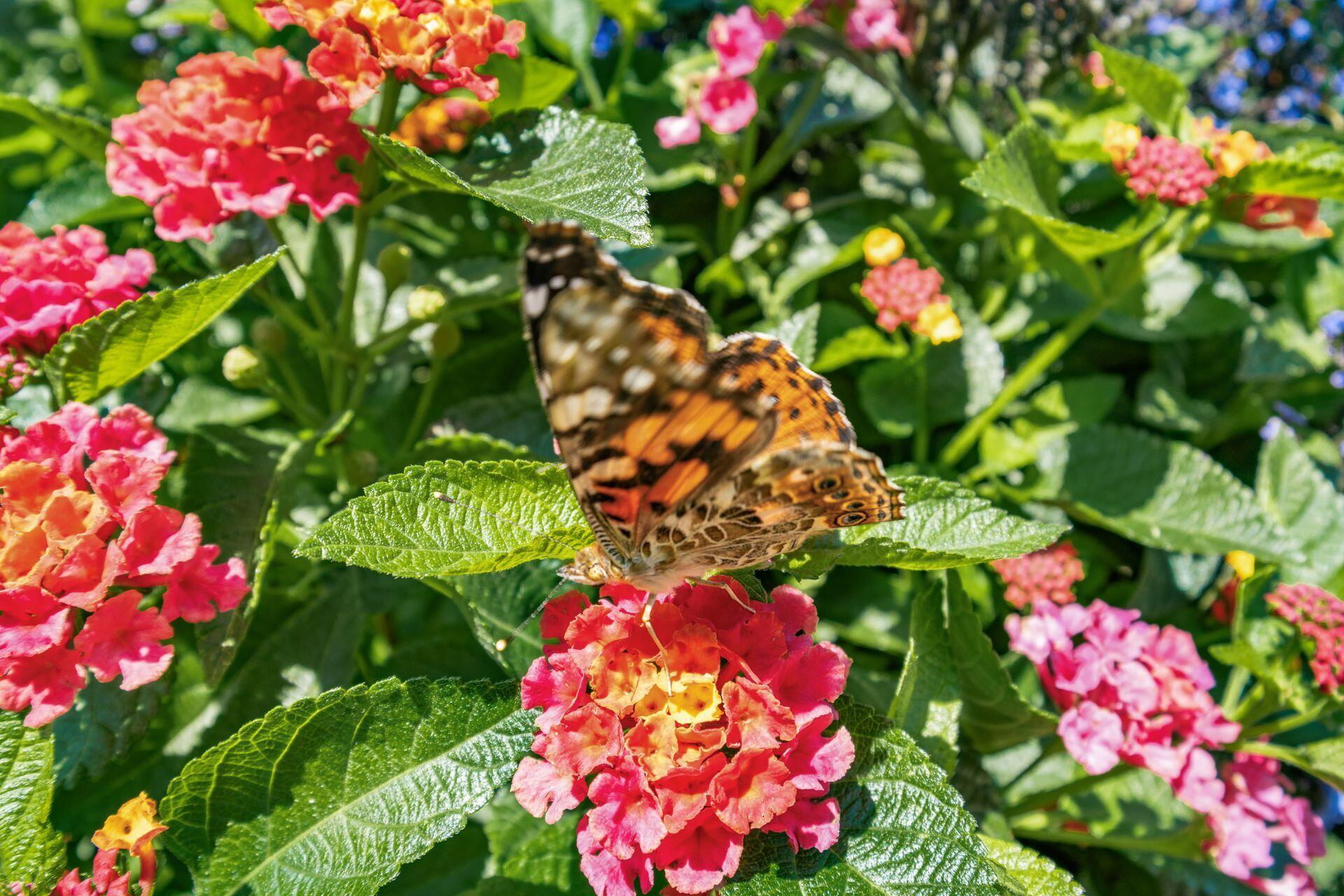 1013 Village Brook Way