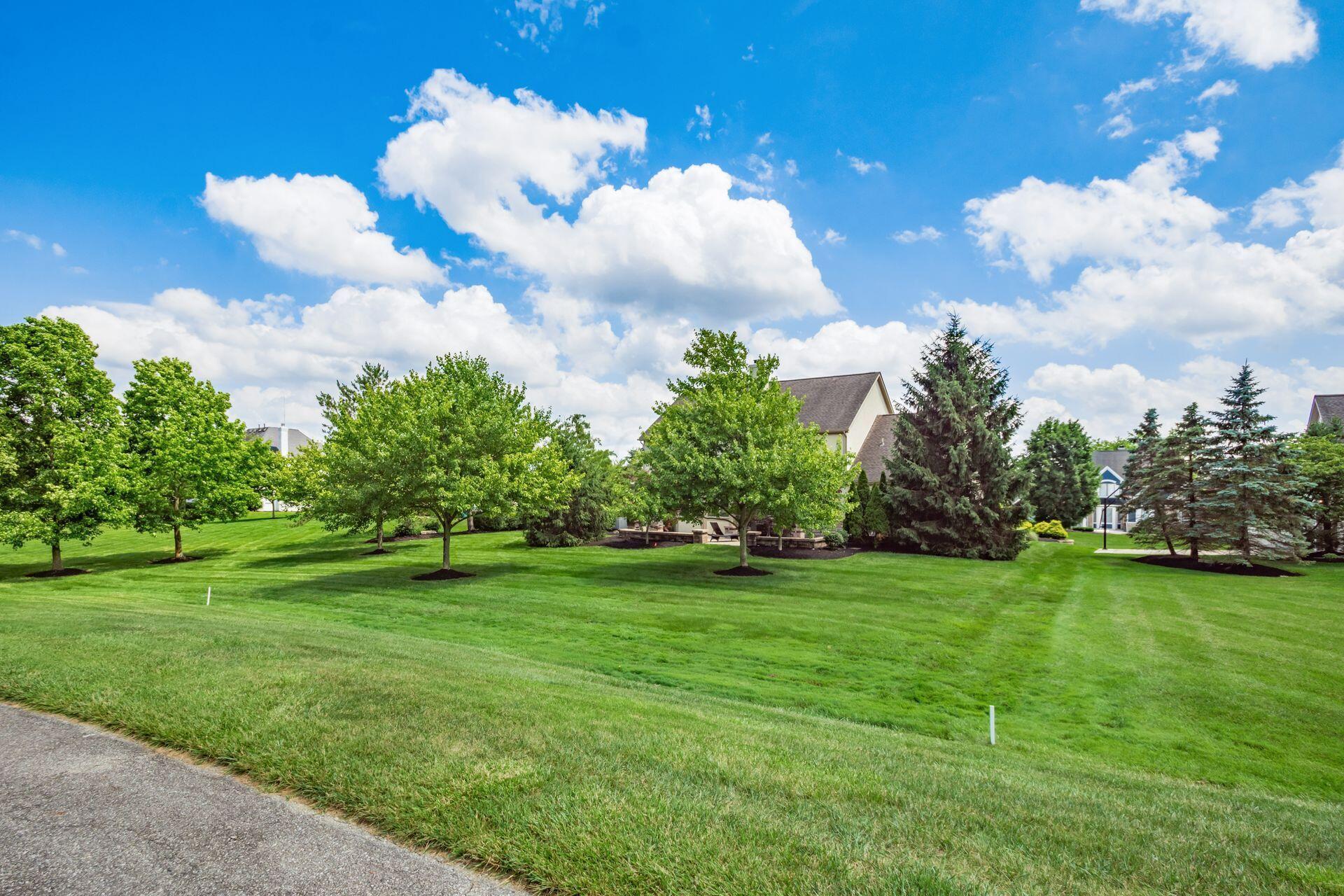 4607 Pine Tree Court