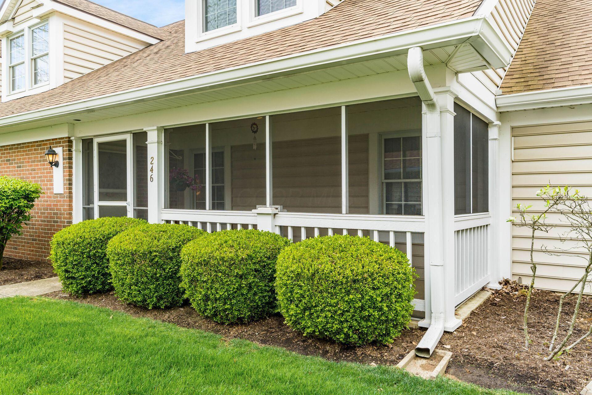 246 Black Walnut Drive