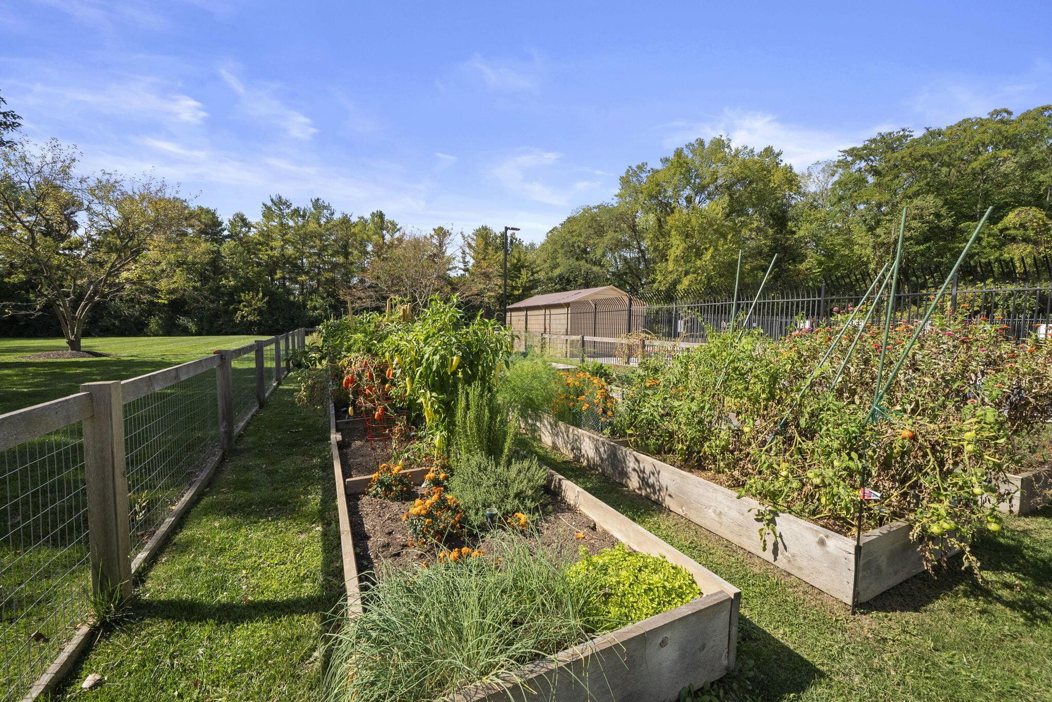 2002 Jasper Lane, 26D 26D