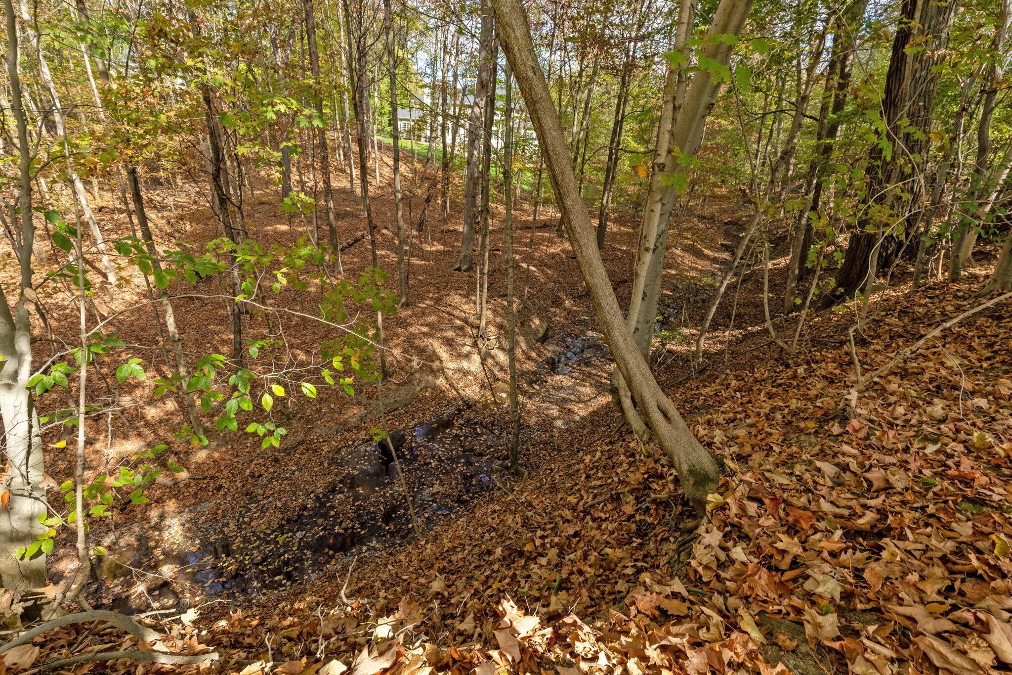 5605 Streamside Drive