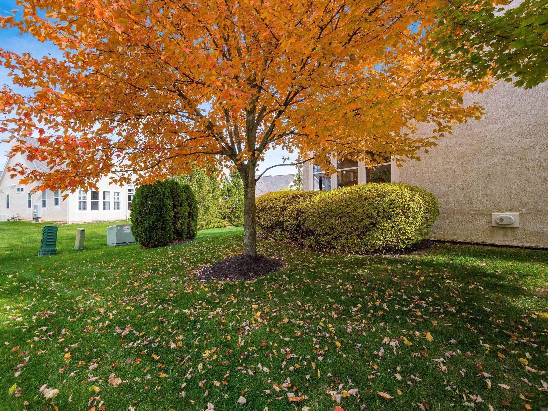 210 Tinley Park Circle