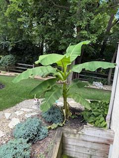 876 John Michael Way