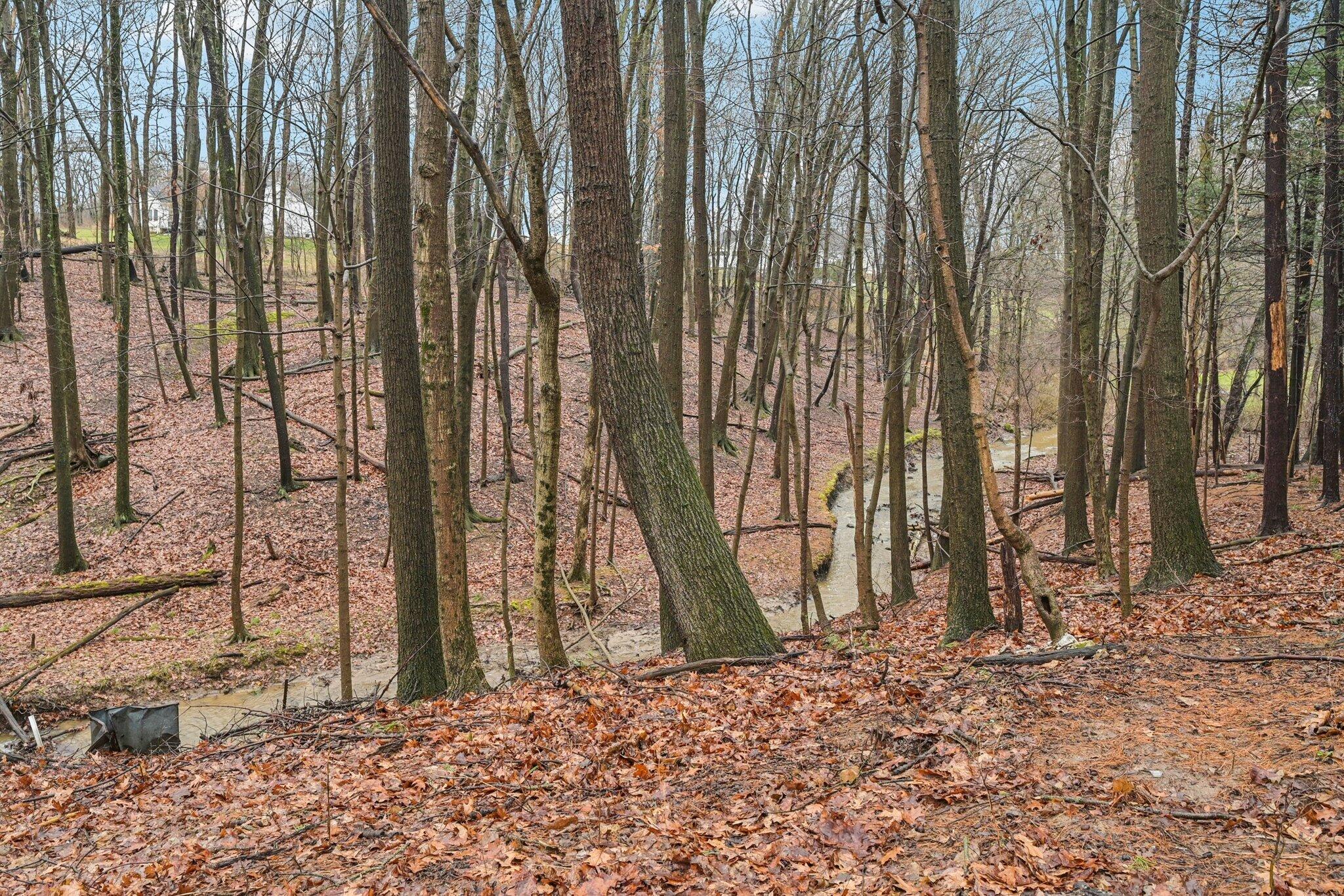 123 Misty Meadows Drive