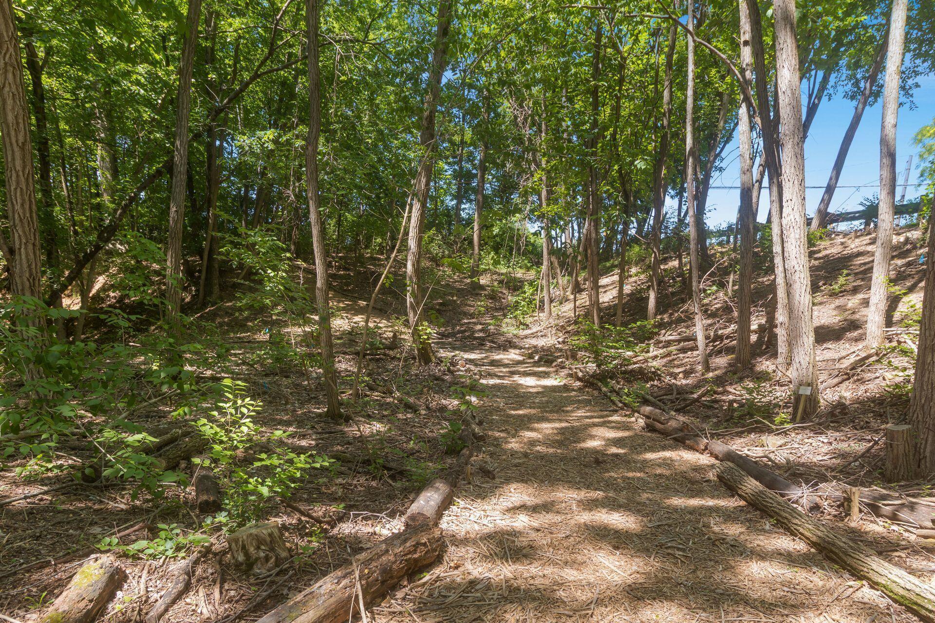 194 Green Springs Drive
