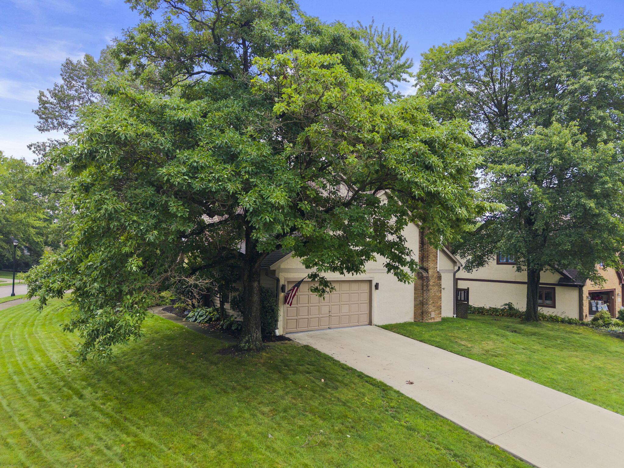 1235 Crooked Tree Court