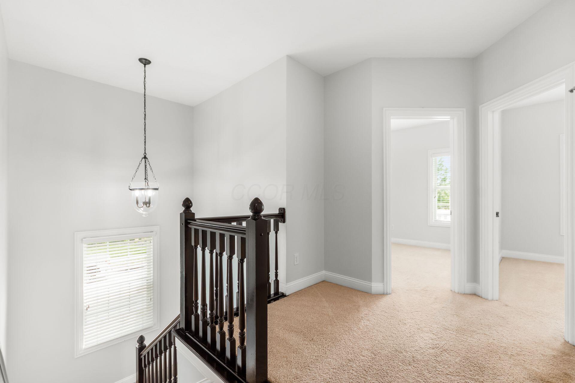 8271 Parsons