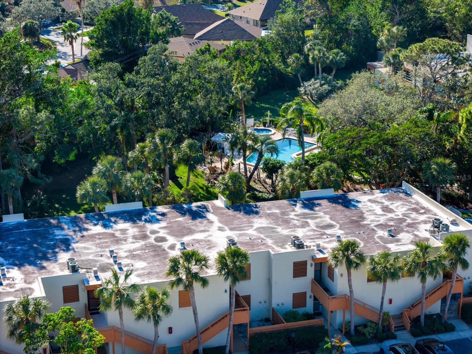 151 WILD PALM DR #151