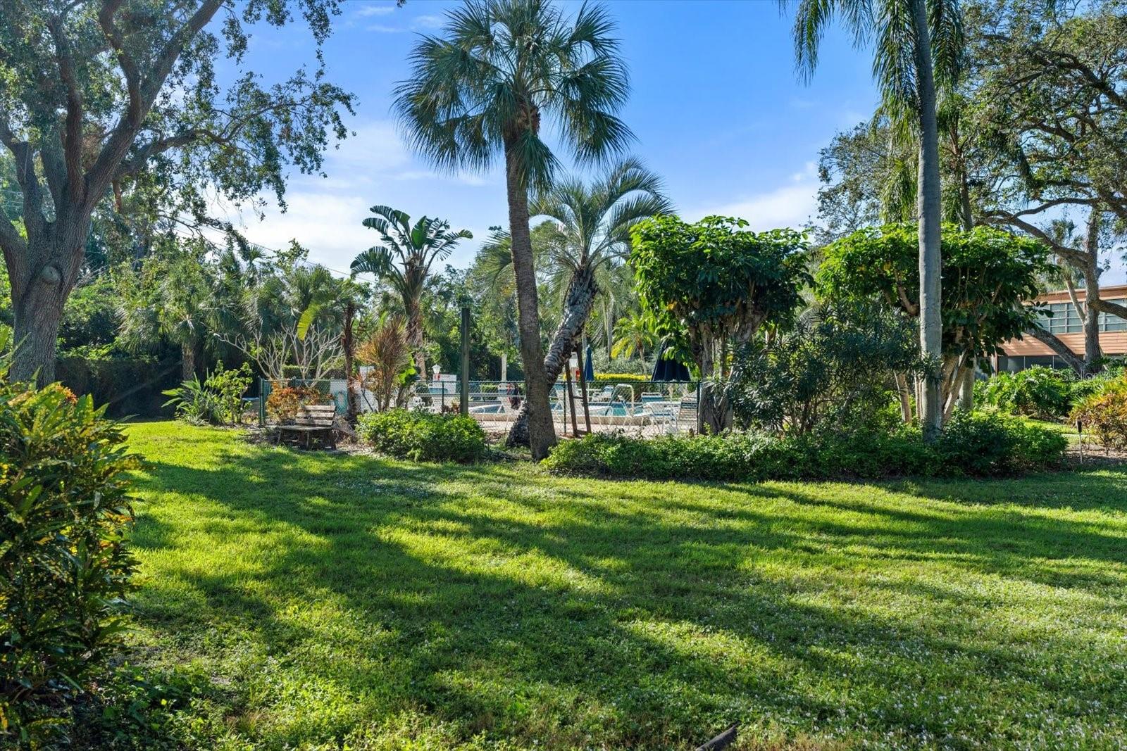151 WILD PALM DR #151