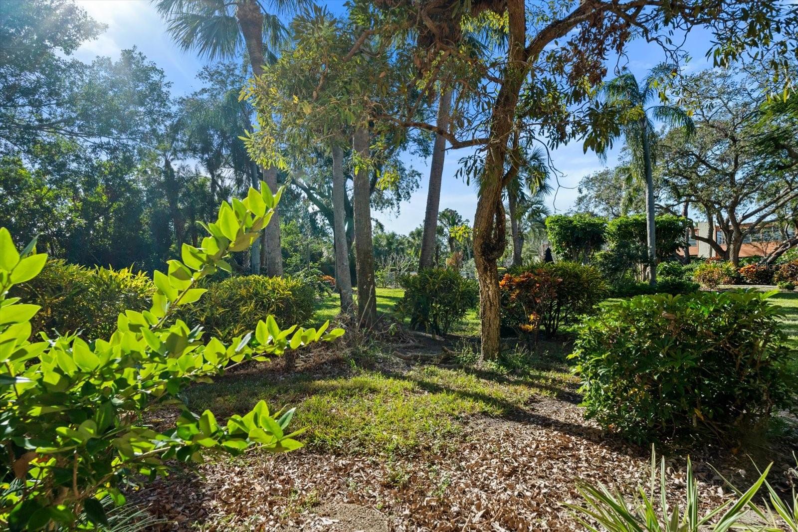 151 WILD PALM DR #151
