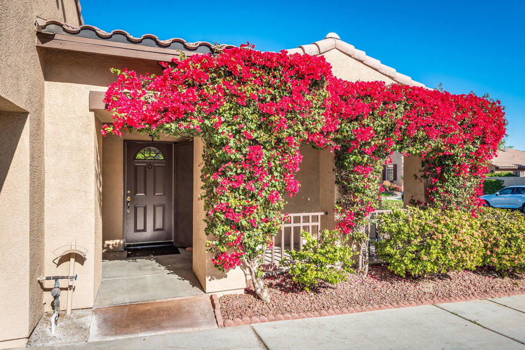 47875 Rosemary Street