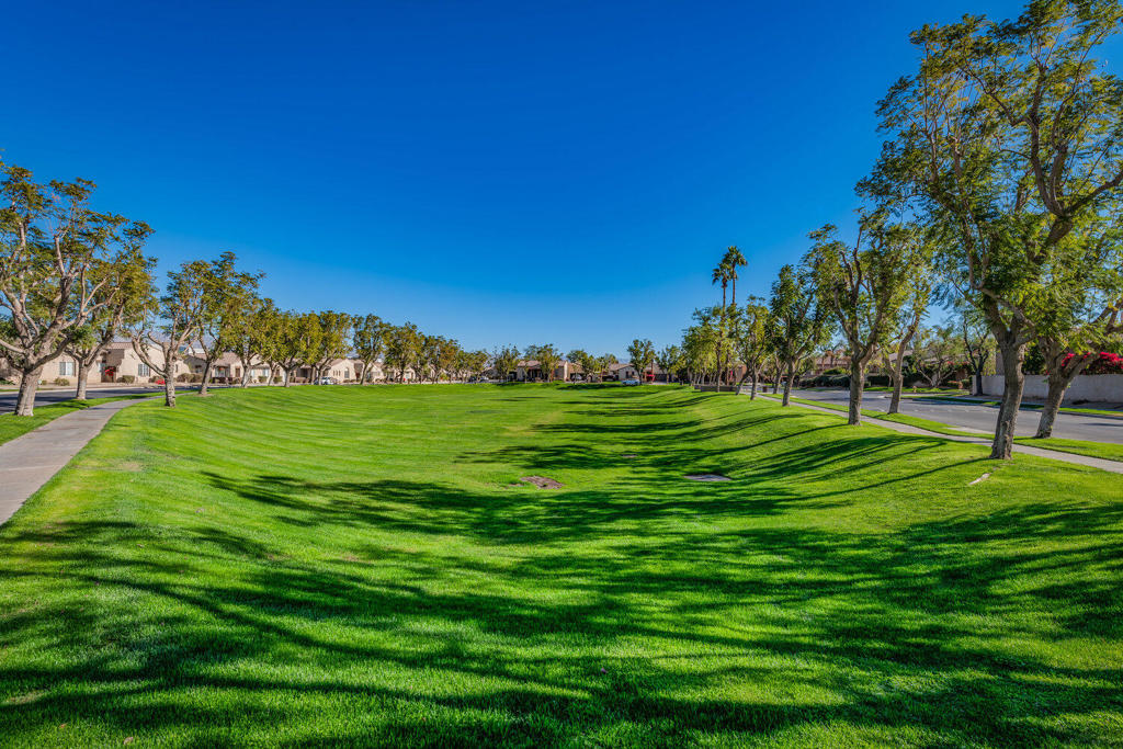 47875 Rosemary Street