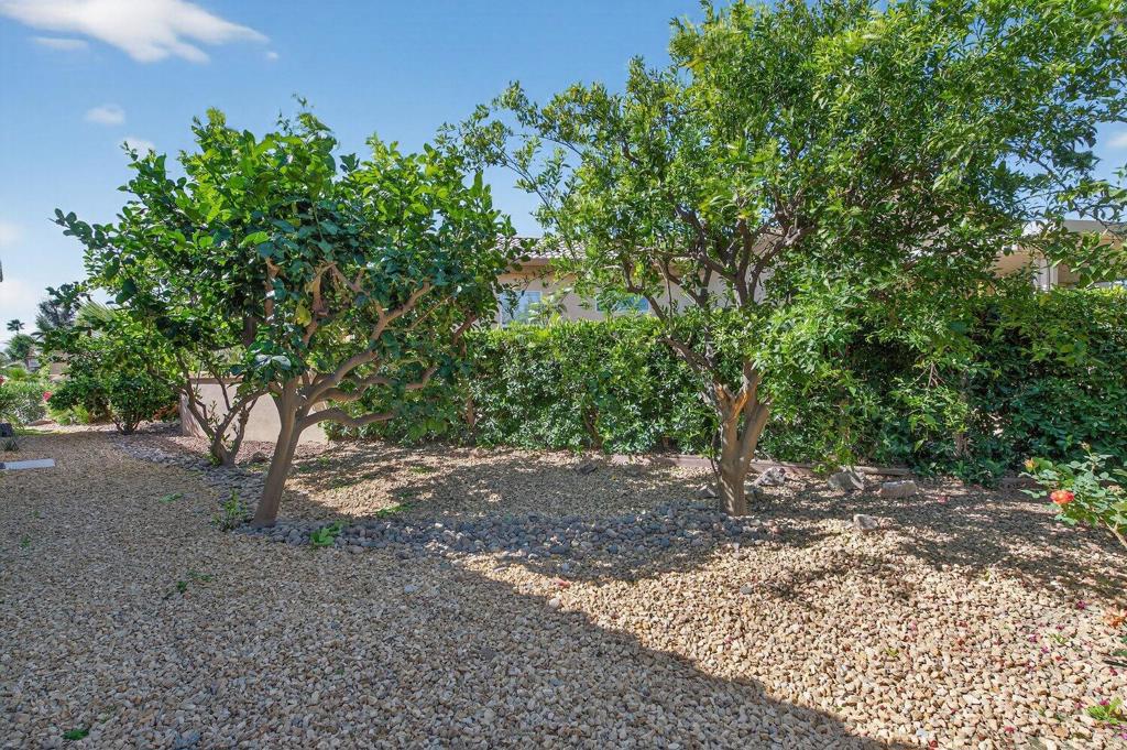 80456 Glen Eagles Court