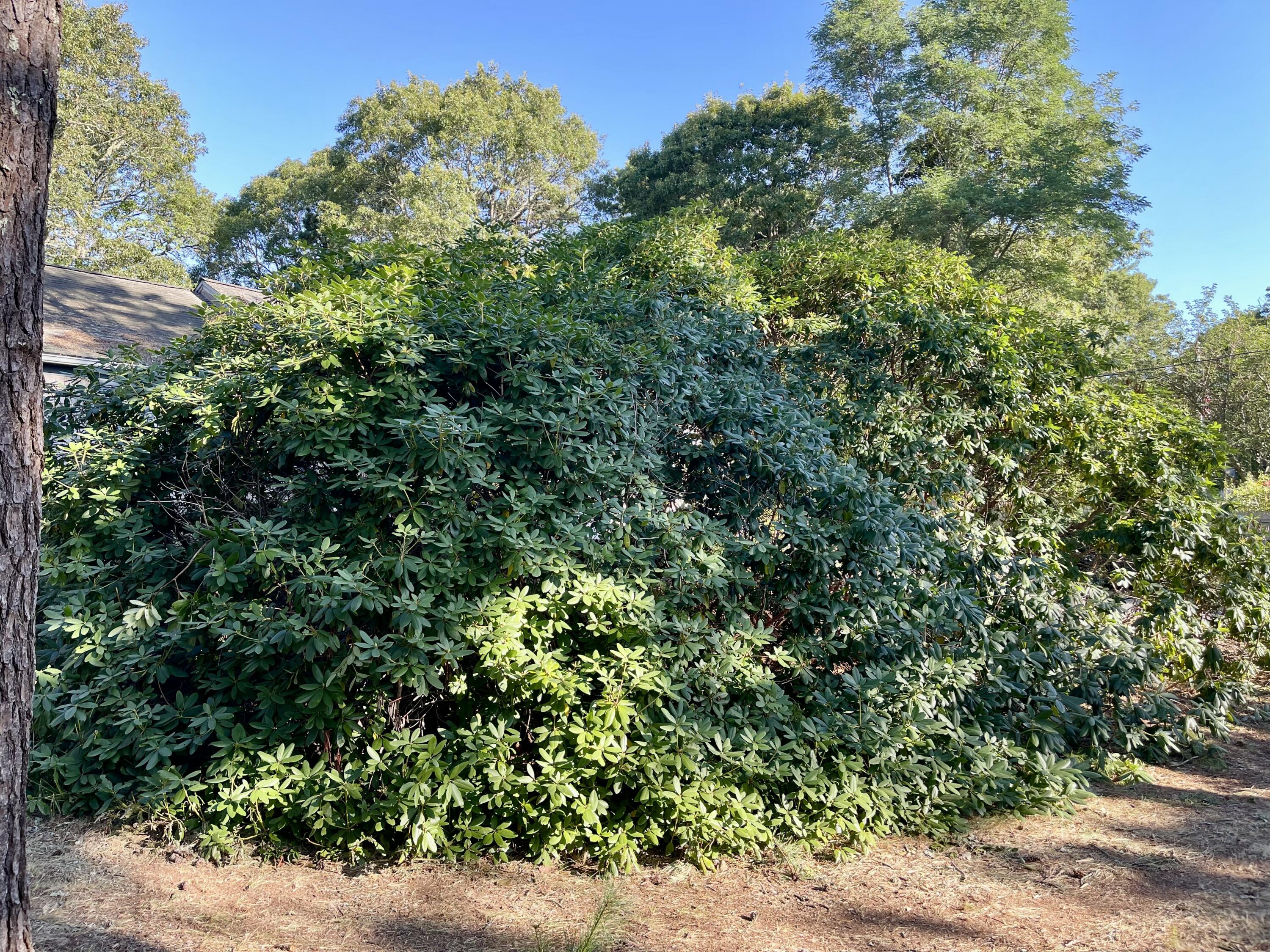 94 Capt Nickerson Road