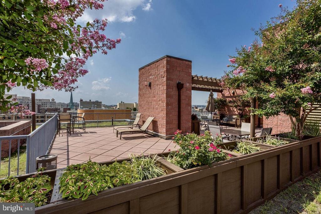 1117 10TH STREET NW Unit: 811