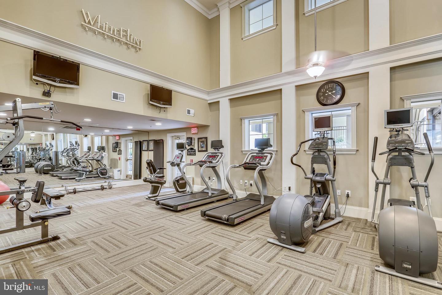 11750 Old Georgetown Rd #2402