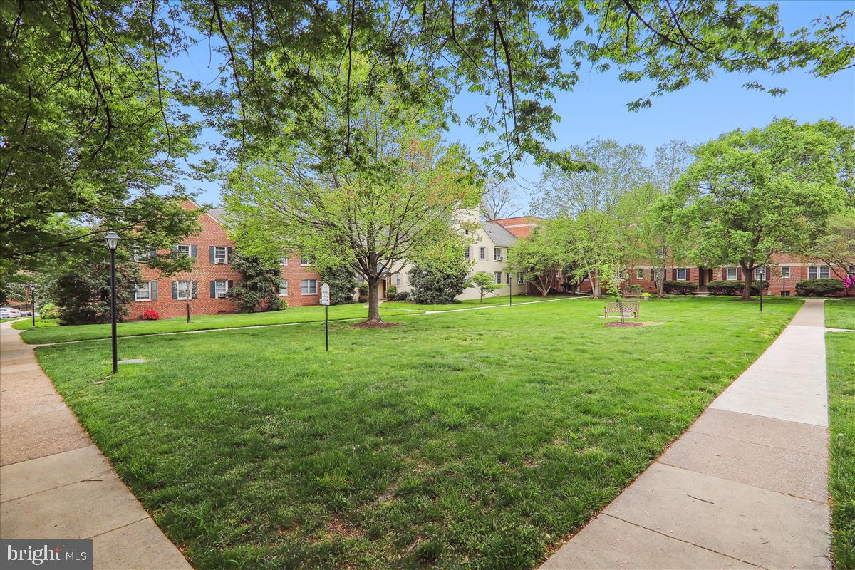 2410 Colston Dr #103