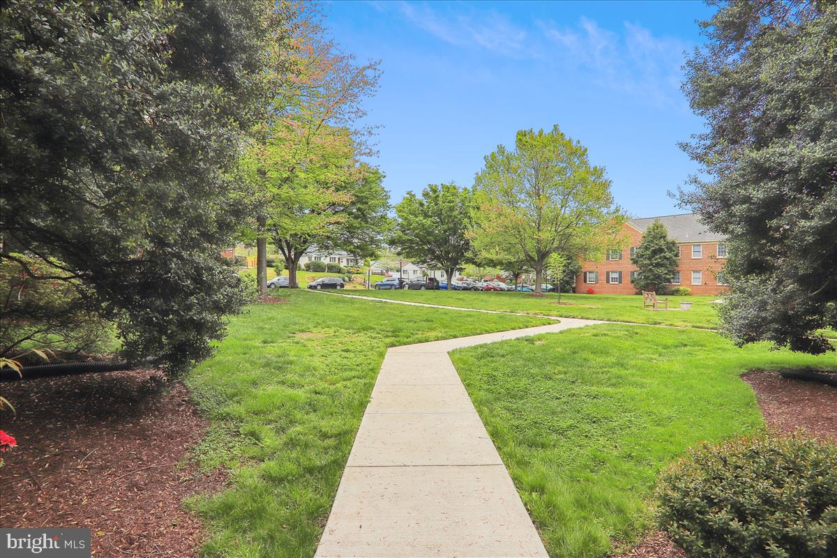 2410 Colston Dr #103