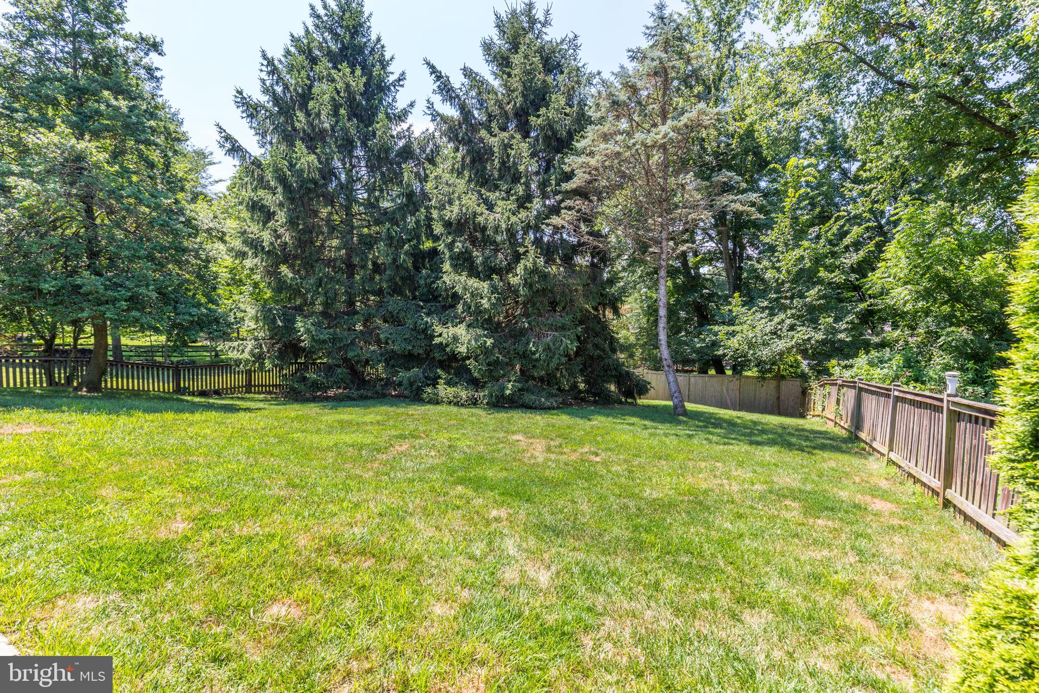 11508 PINEY LODGE ROAD