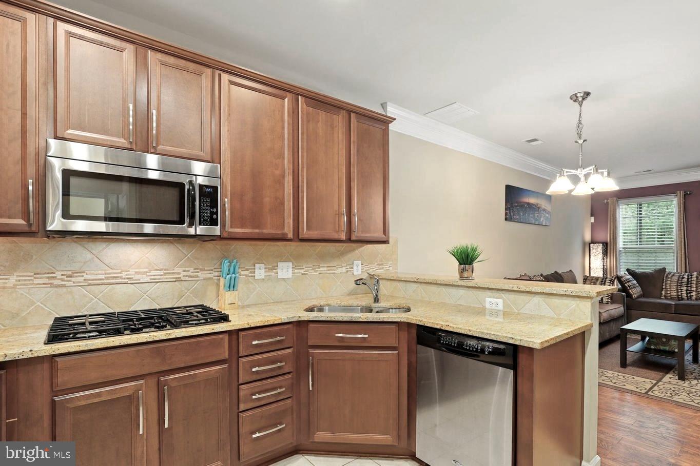 19461 DOVER CLIFFS CIRCLE 19461