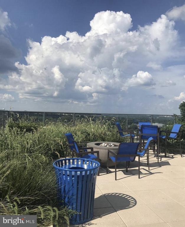 Rooftop terrace with blue seating around a fire pit and ornamental grasses along the railing.