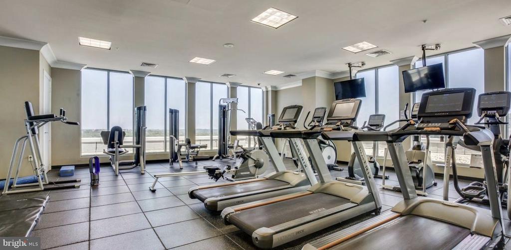 Condominium fitness center with rows of treadmills and exercise machines beside large windows.