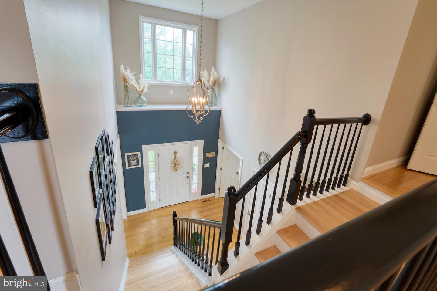 40950 Taylorstown Meadows Pl