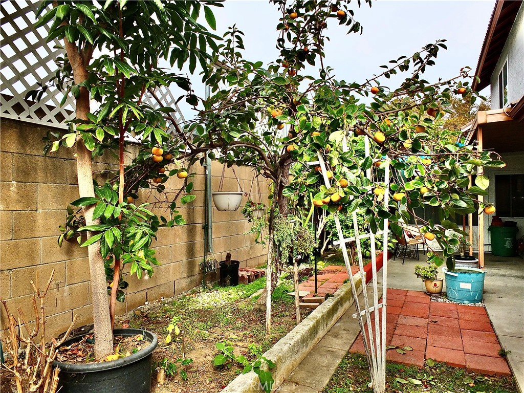 15121 Rancho Clemente