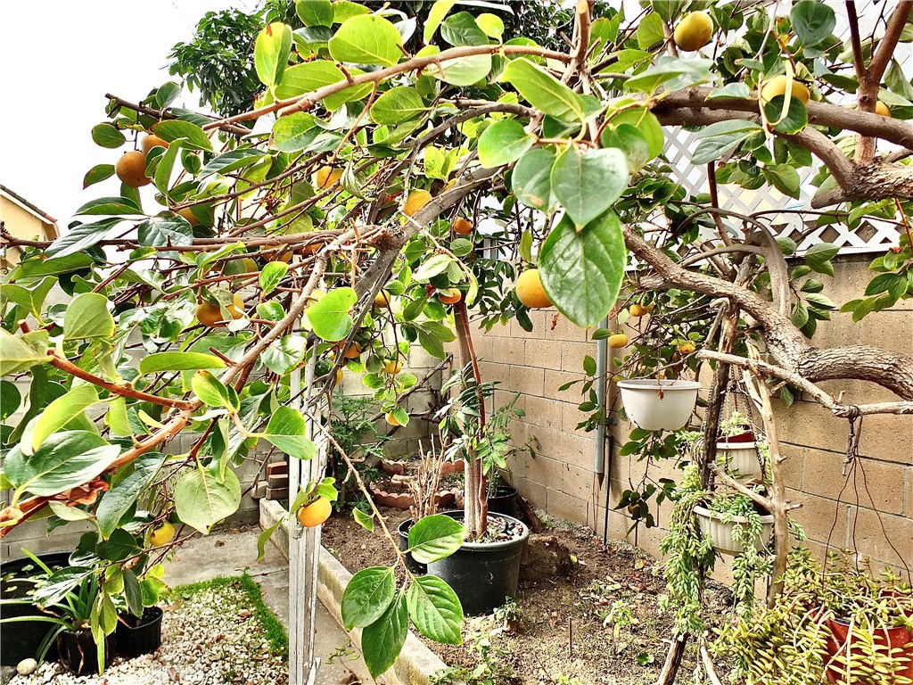 15121 Rancho Clemente