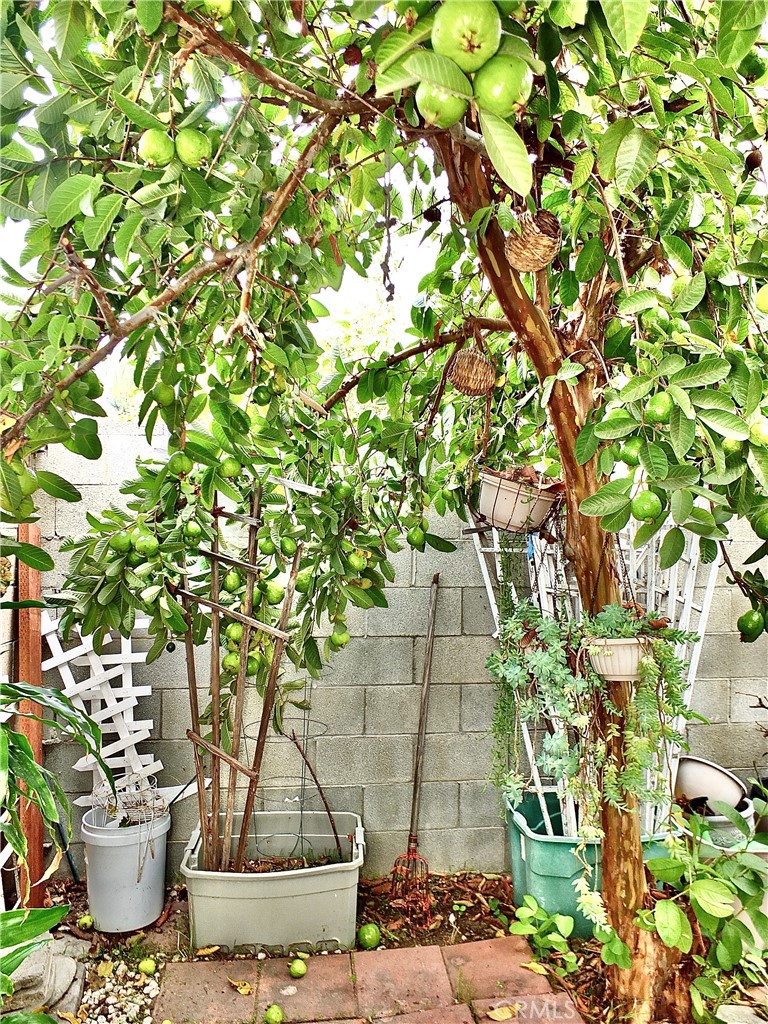 15121 Rancho Clemente