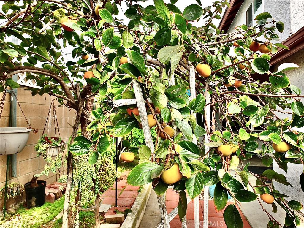 15121 Rancho Clemente