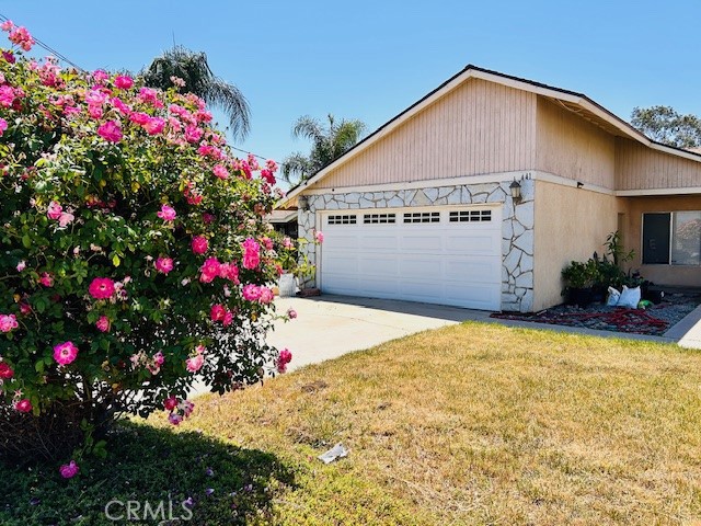 441 Placentia