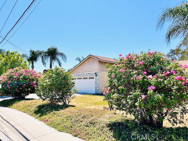 441 Placentia