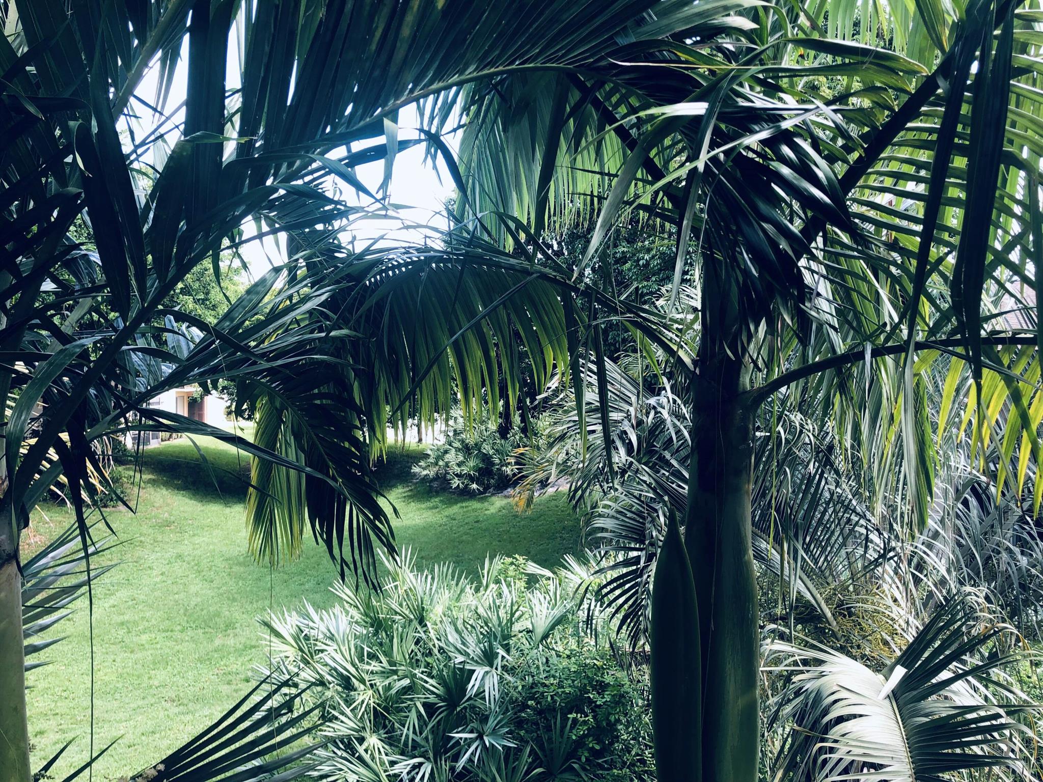 2755 W Atlantic Avenue 1210