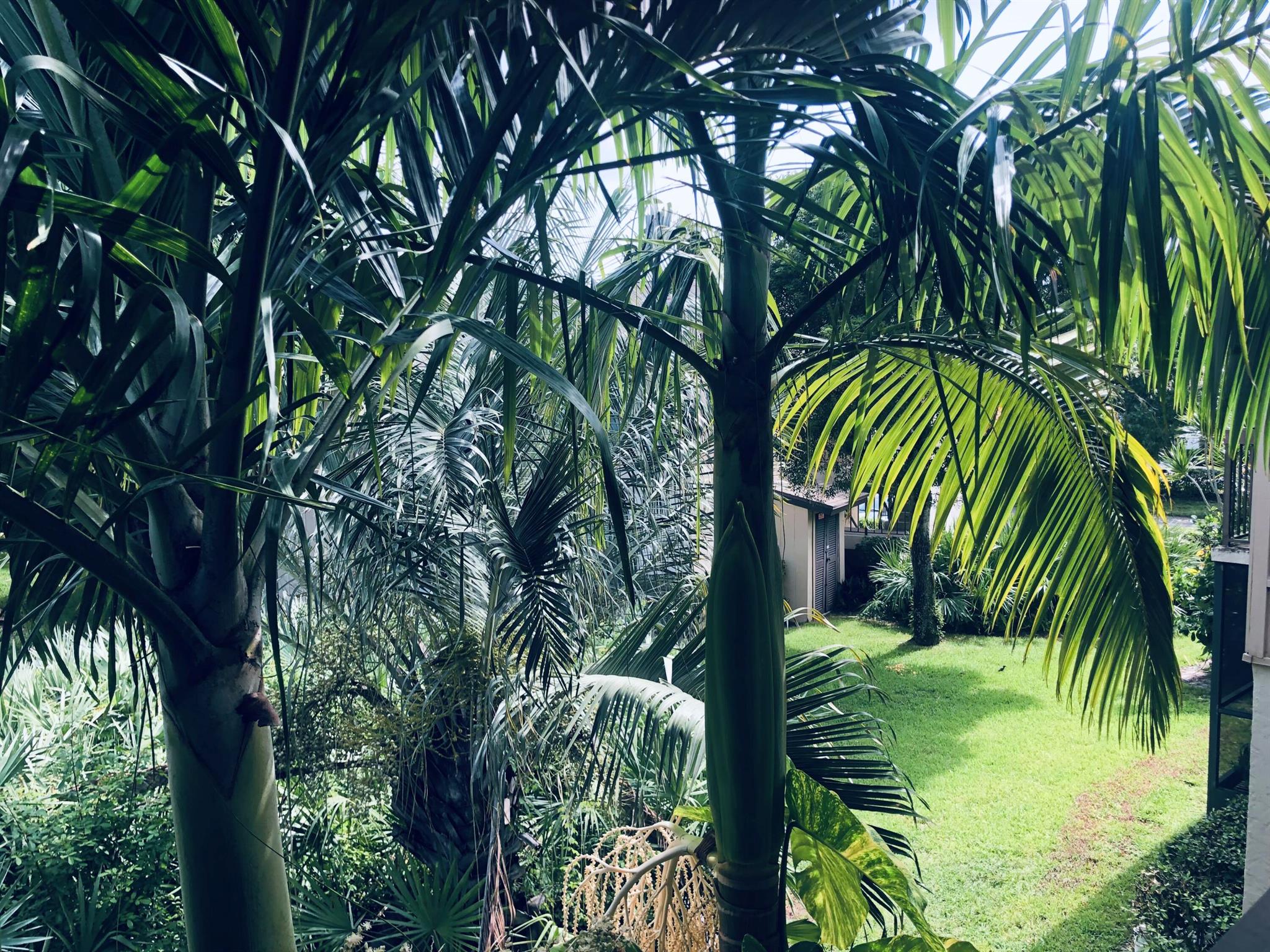 2755 W Atlantic Avenue 1210