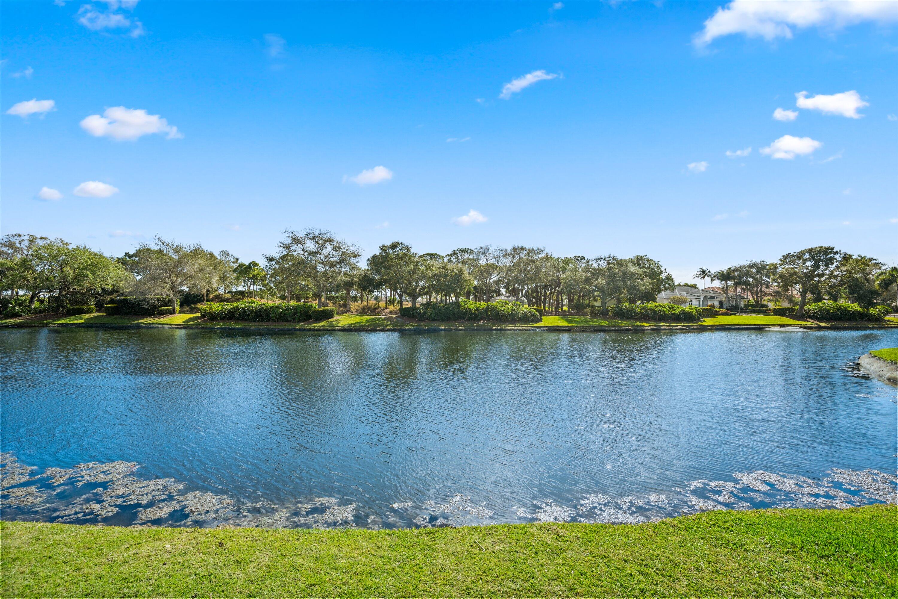 116 Terrapin Trail