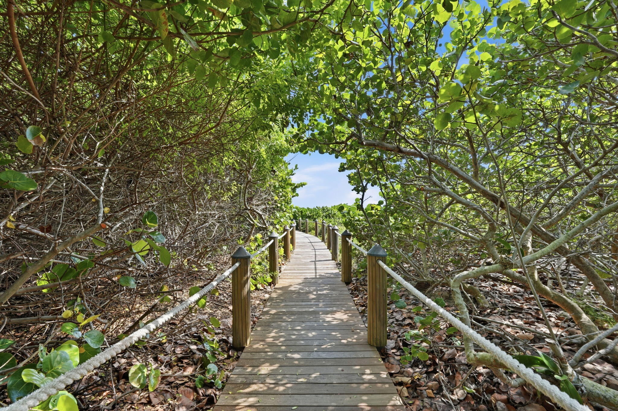 145 S OCEAN Avenue 611